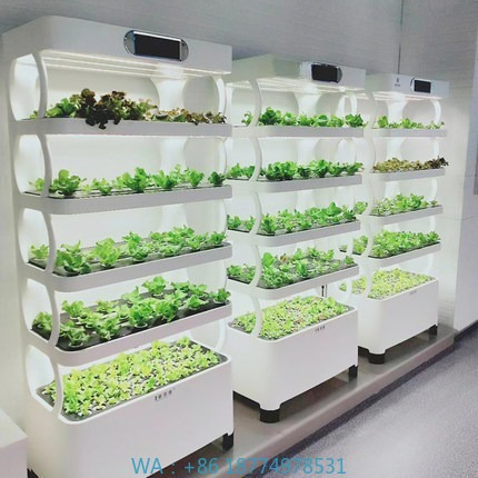 Diy Automation - Hydrocultuur geautomatiseerd kweeksysteem Intelligent hydrocultuur kweeksysteem